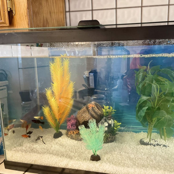 Aquarium and Reptile Supplies