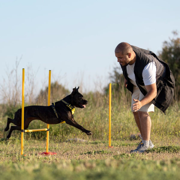 Pet Training Supplies