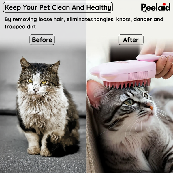 Steam Pet Grooming Brush
