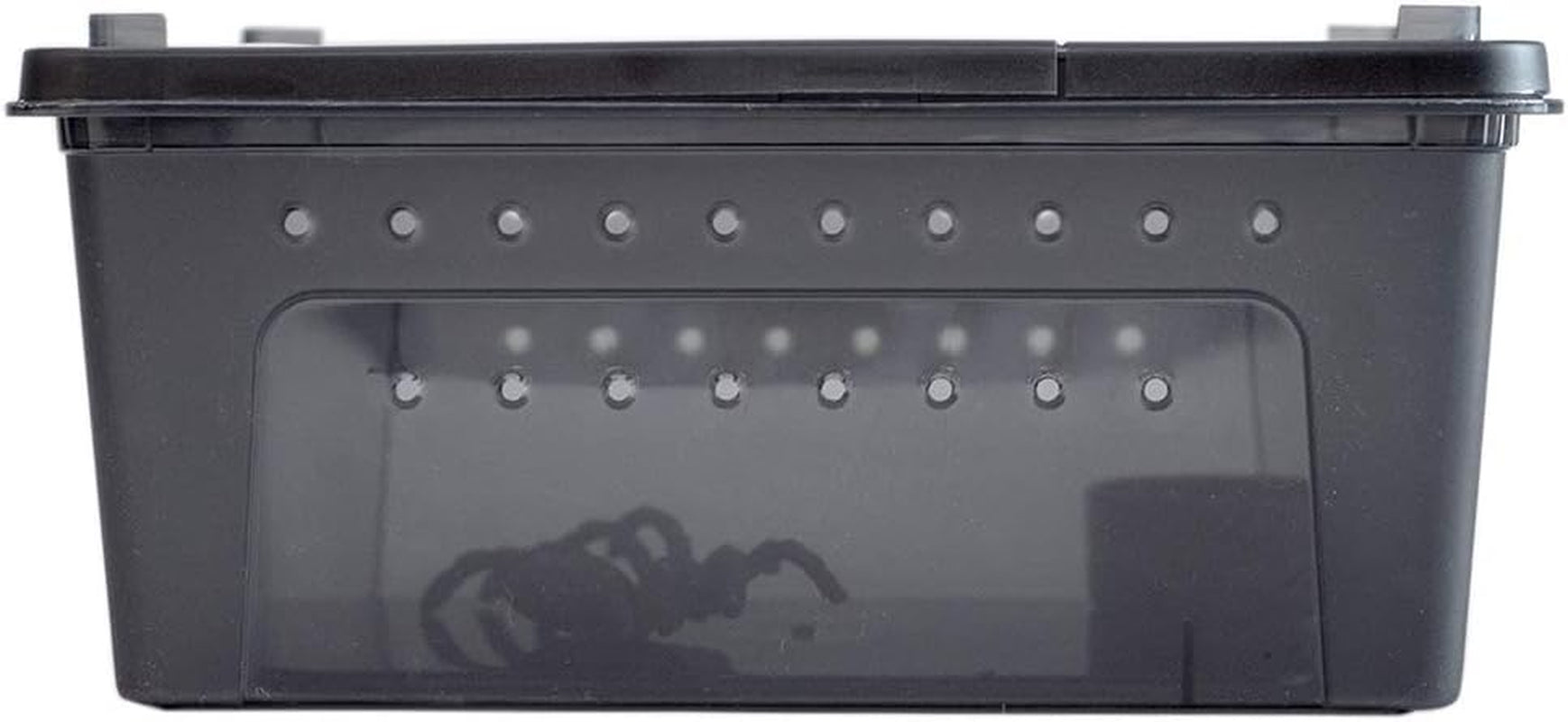 Portable Reptile Terrarium Habitat Mini Pet House Black-M