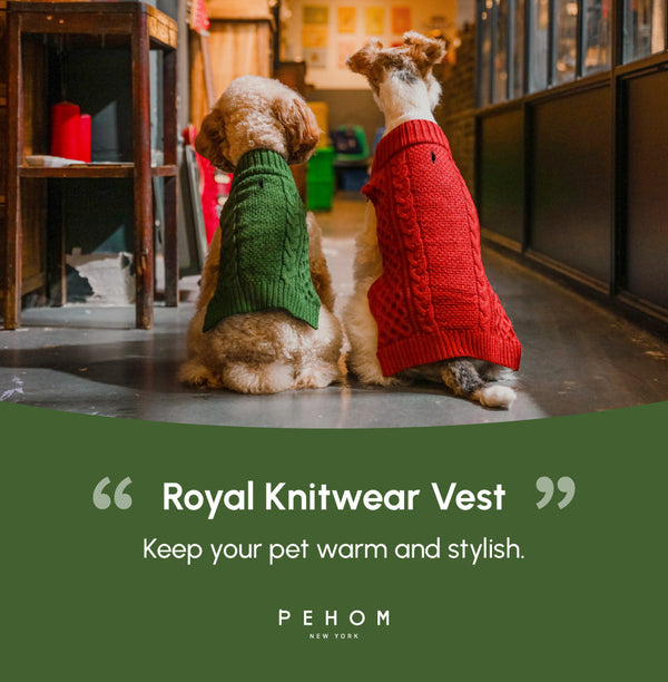 Pet Sweater Vest - Green