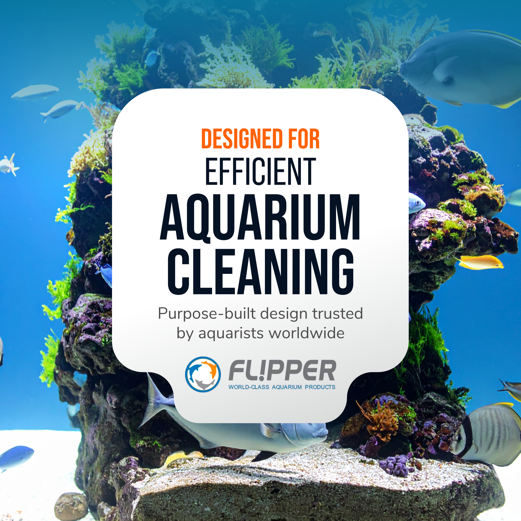 Flipper Platinum Aquarium Algae Scraper - 18"