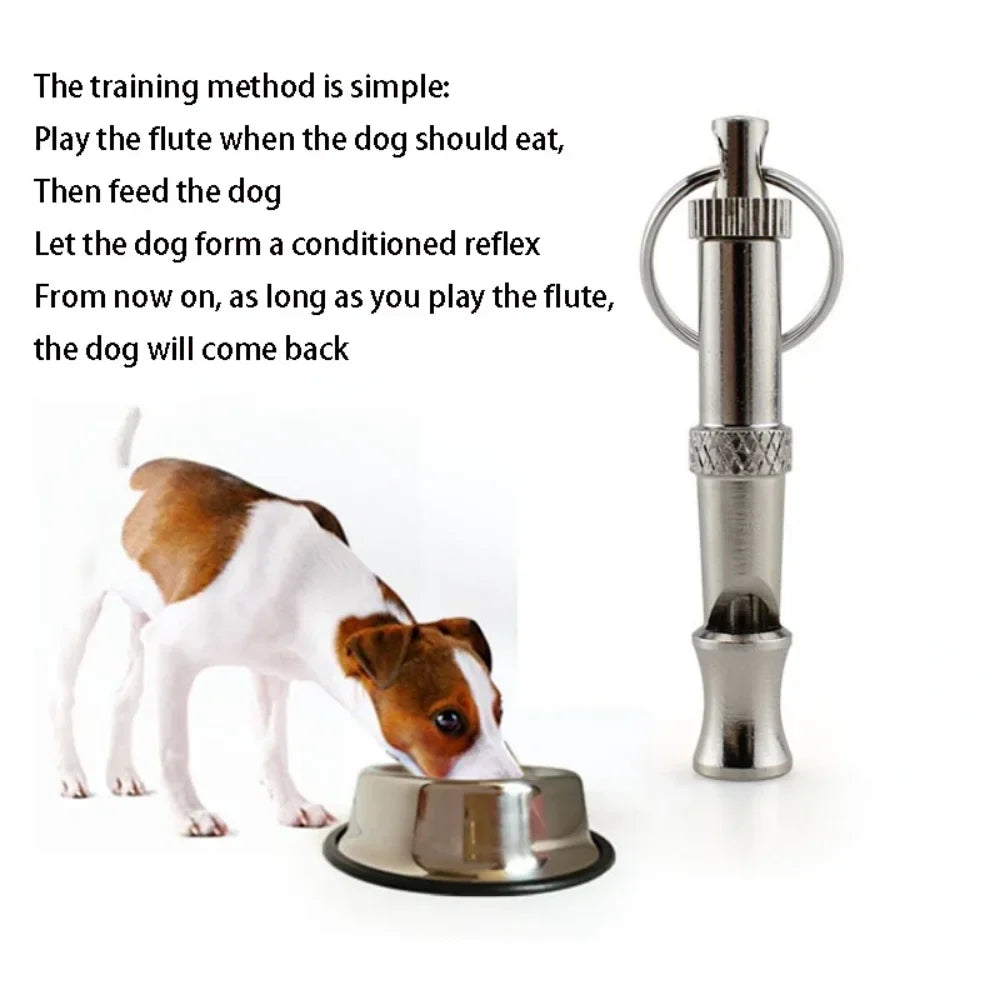 Dog Training Whistle Outdoor Survival Silent Silver