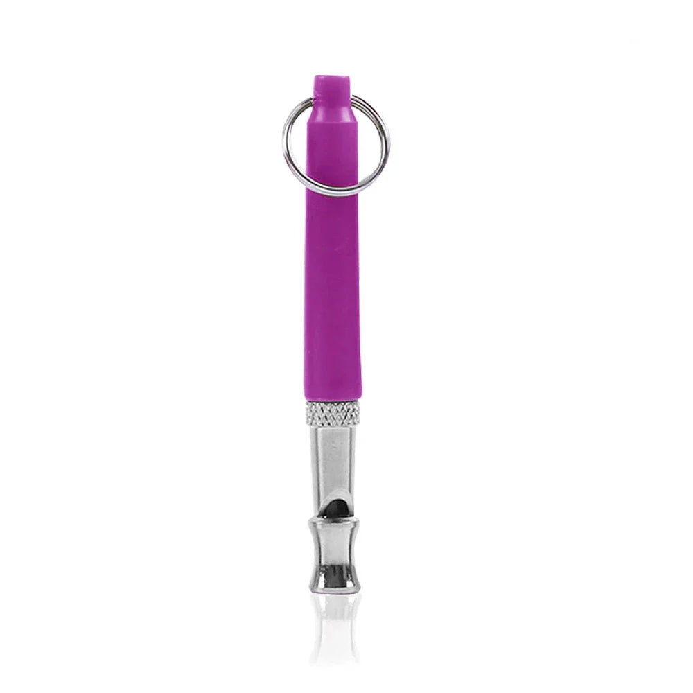 Dog Training Whistle Outdoor Survival Silent Silver