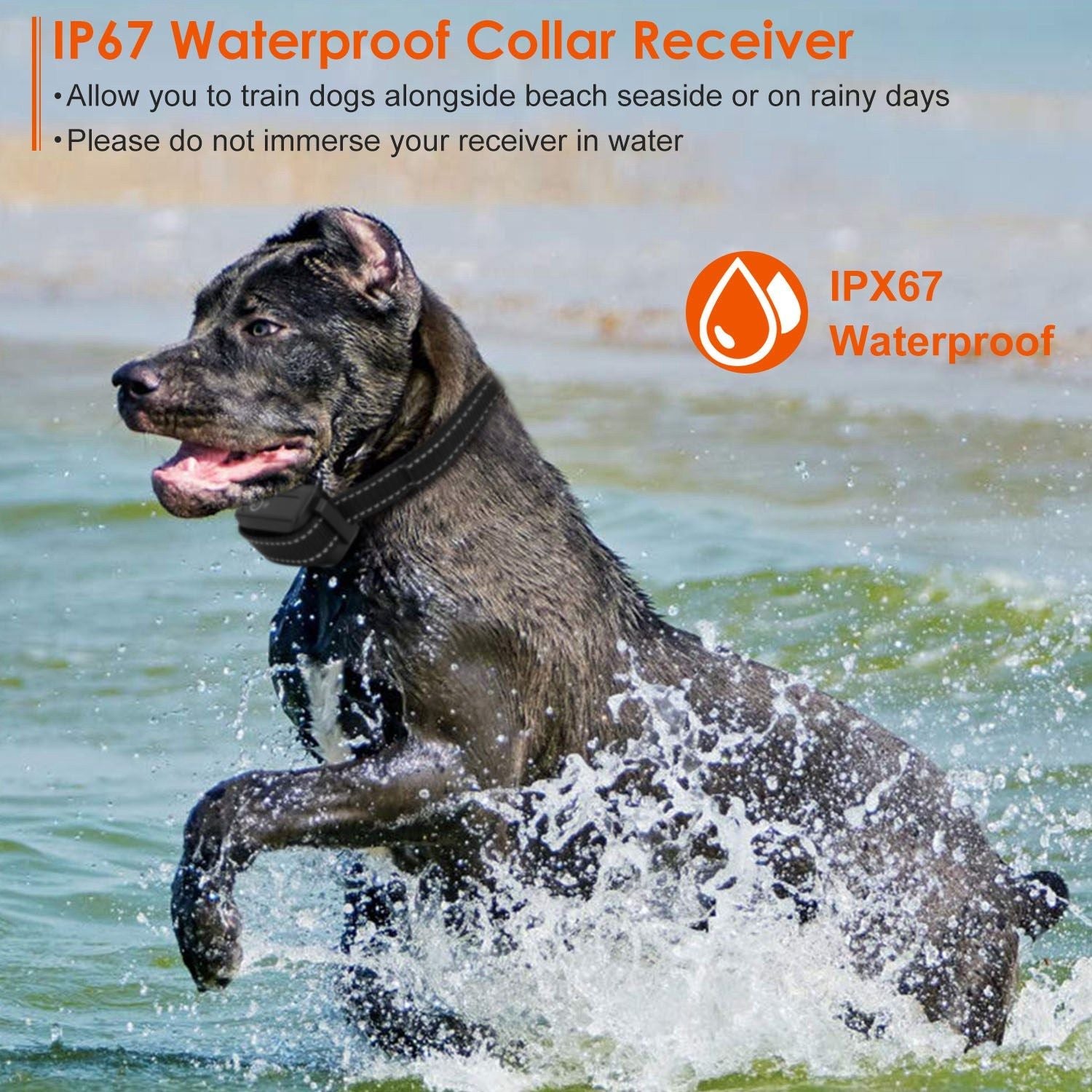 Long-Range 3280FT Waterproof Dog Training Collar