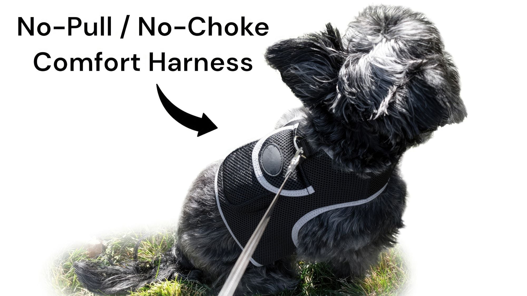 GPS Rechargeable Tracking Device for Pets Realtime Surveillance System Size:XXL