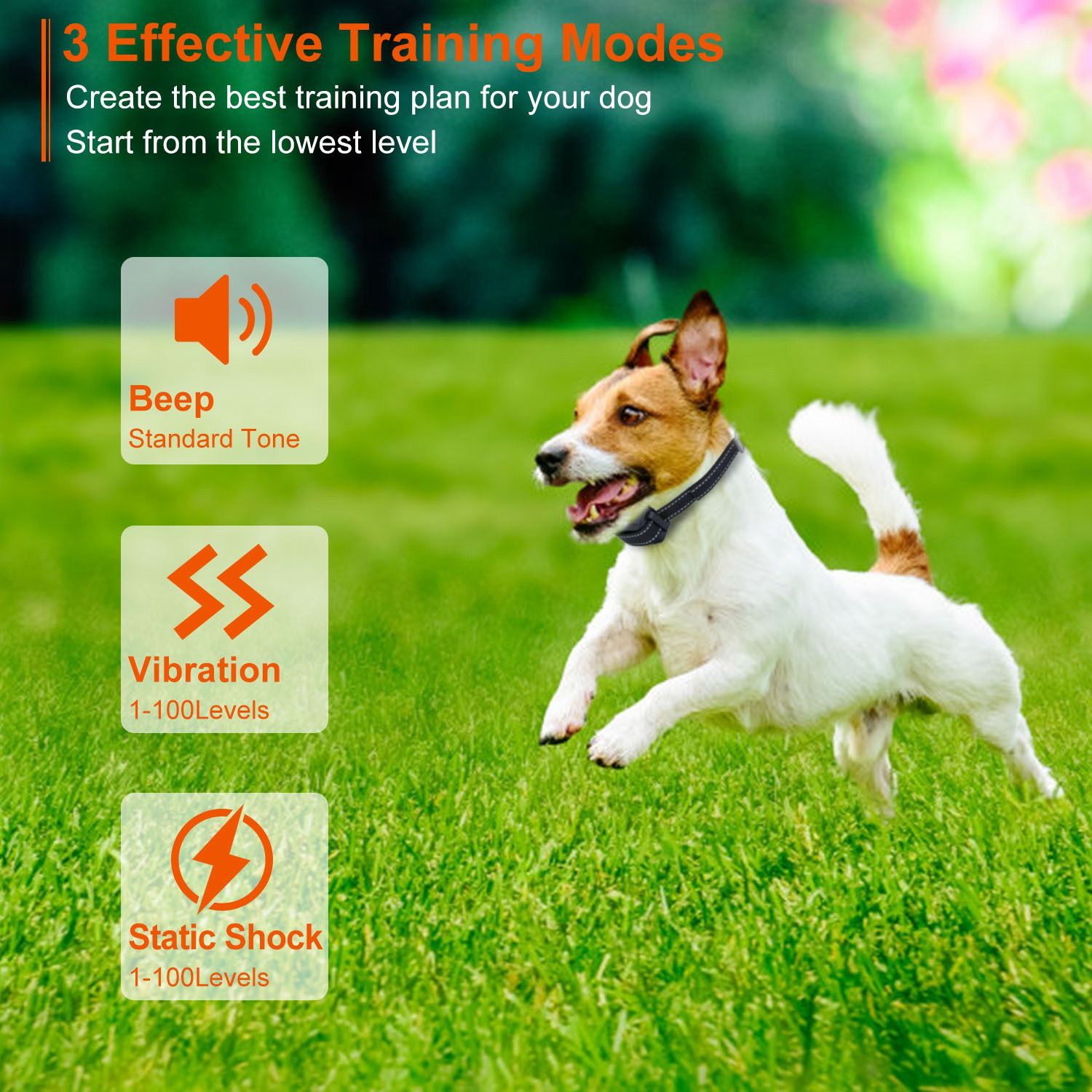 Long-Range 3280FT Waterproof Dog Training Collar