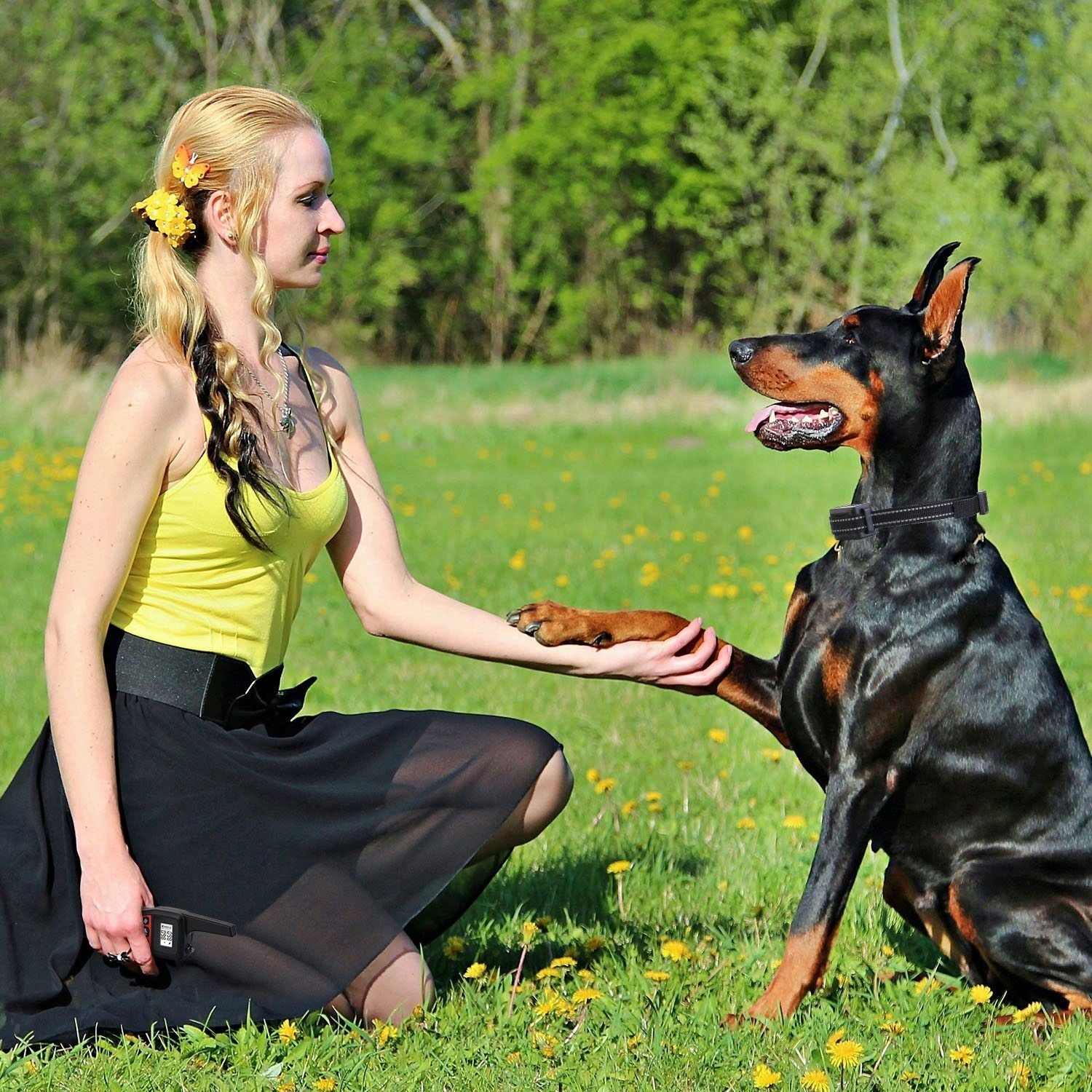 Long-Range 3280FT Waterproof Dog Training Collar