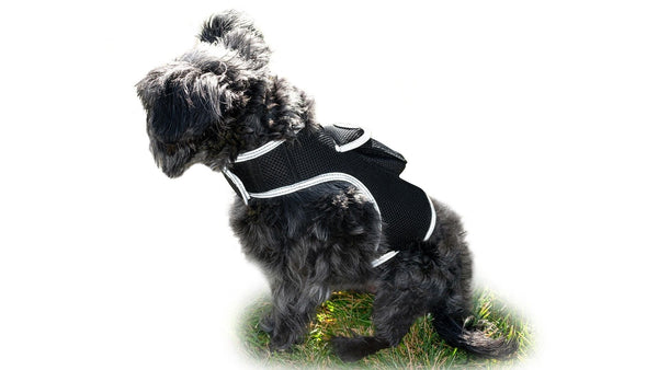 GPS Rechargeable Tracking Device for Pets Realtime Surveillance System Size:XXL