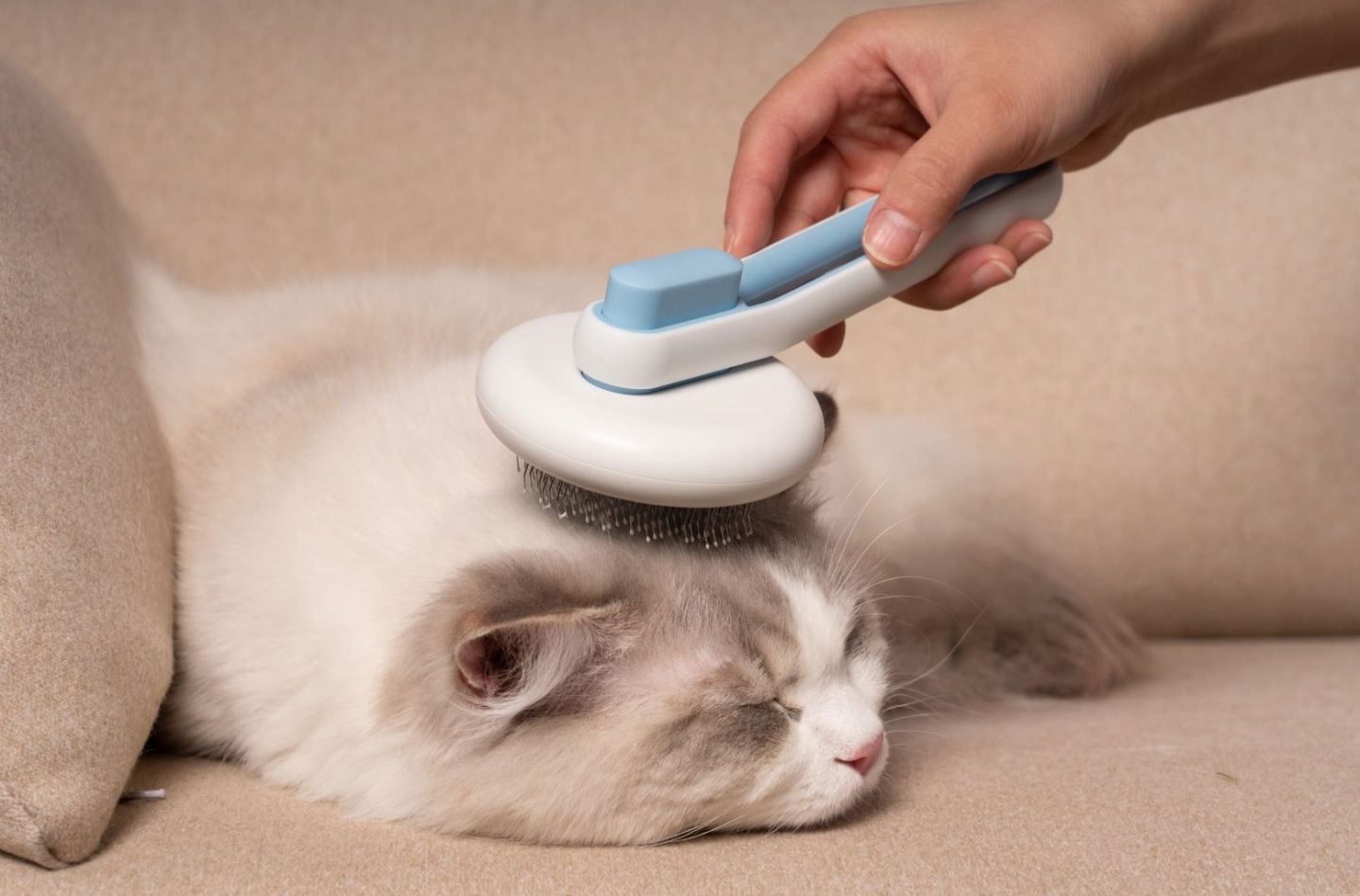 Concepto Modern Pet Deshedder Grooming Comb
