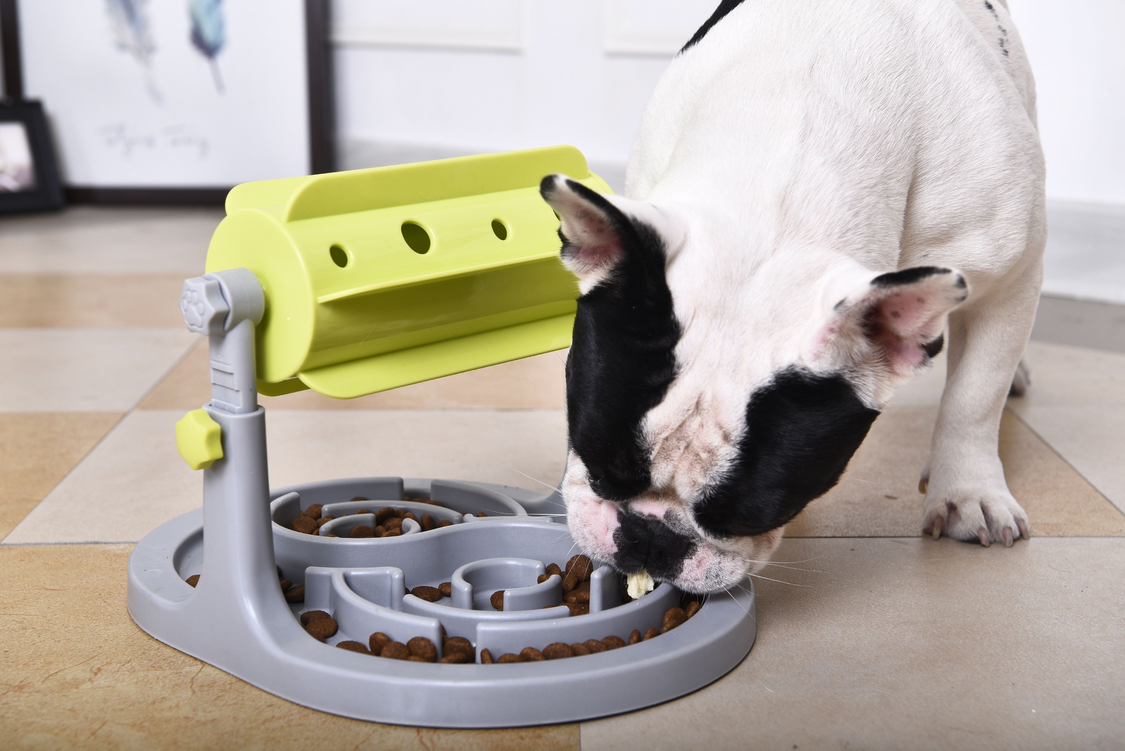 Roto Paw Interactive Rotating Slow Feeder Dog