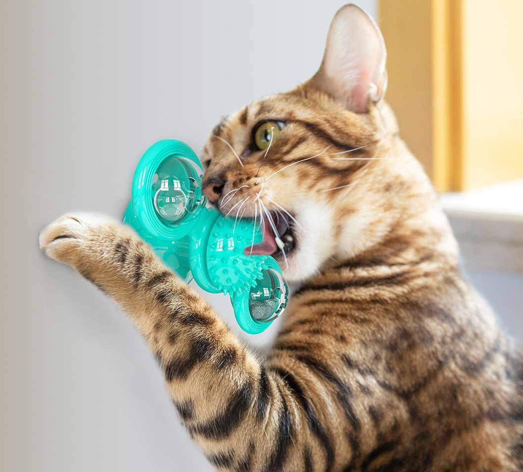 'Windmill' Rotating Suction Cup Spinning Cat Toy