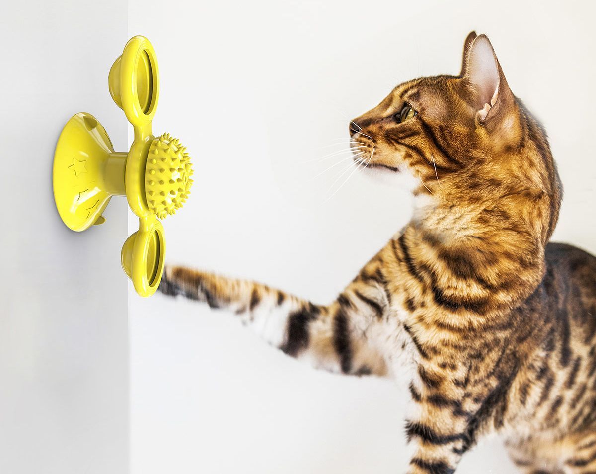 'Windmill' Rotating Suction Cup Spinning Cat Toy