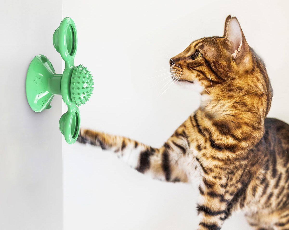 'Windmill' Rotating Suction Cup Spinning Cat Toy
